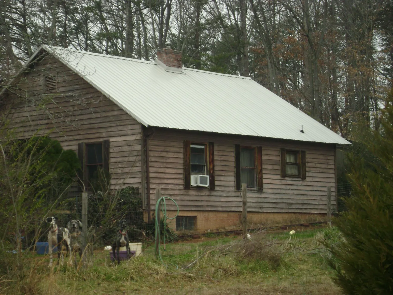 White metal roof on an old wood sided farmhouse, from a Metal Roof Installation job in Forest Park